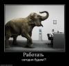 работать.jpg