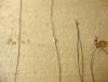 DSC01640.JPG