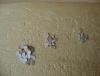 DSC01643.JPG