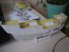 DSC01401.JPG