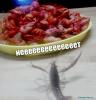 1372501374_bdua3b0qxyu.jpg
