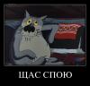 щас.jpg