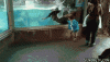 Oslos.gif