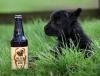 Lamb &amp; bottle (web).jpg