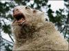 Страх.jpg