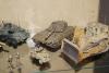 DSC00711.JPG