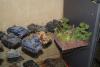 DSC00676.JPG