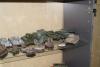 DSC00662.JPG