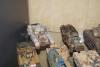 DSC00682.JPG
