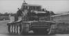 tigr_501_afr_001.a46publythk484gss4wos8ck8.ejcuplo1l0oo0sk8c40s8osc4.th.jpeg