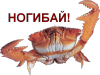 530619d52388.png