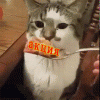Акция..gif