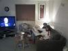 1349526388_meet_waldos_cat_if_you_find_him_04.jpg