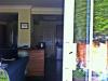 1349526420_meet_waldos_cat_if_you_find_him_11.jpg