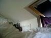 1349526358_meet_waldos_cat_if_you_find_him_01.jpg