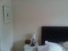 1349526410_meet_waldos_cat_if_you_find_him_08.jpg