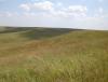 prairie.jpg