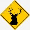 deerHQ.jpg