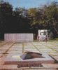 6.gif