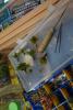 DSC00855.jpg
