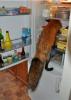 ^39A8E42E195B1E12EE97565455032BF2D296718014DE33E8D5^pimgpsh_thumbnail_win_distr.jpg