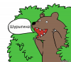 medved-iz-kustov_159463796_orig_.png