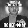 понерфим.jpeg