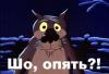 шо_опять.jpg