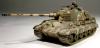 Тигр2_72 (5).JPG