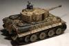Tiger1r (5).JPG