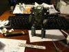 DSC04042.JPG