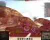 AMX_1_3.jpg