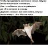 cs543109.mmo-db.com_v543109219_17ec5_vt8tTNbFhuQ.jpg