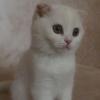 IMG-20171027-WA0001.jpg