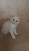 IMG-20171027-WA0005.jpg