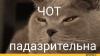 фото-историческое-фото-Дания-страны-2297193.jpeg