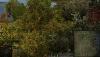 shot_1179.jpg