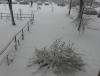 DSC02048.JPG