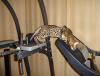 DSC00636.JPG