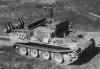 bergpanther_3.jpg