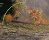 Т30 - 277.gif