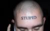stupid.jpg