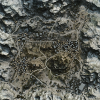 Священная_долина_миникарта.png