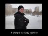 голда.jpg