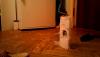 WIN_20141203_194519.JPG