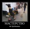 на бухло.jpeg