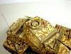 DSC02350_11.jpg