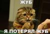 091A8280-34DD-4F6B-B663-BA21F1664CD0.jpeg
