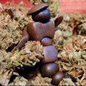 MrGrower3D