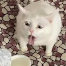 image.jpeg.cb27abf6076002692795c3859c42593e.jpeg